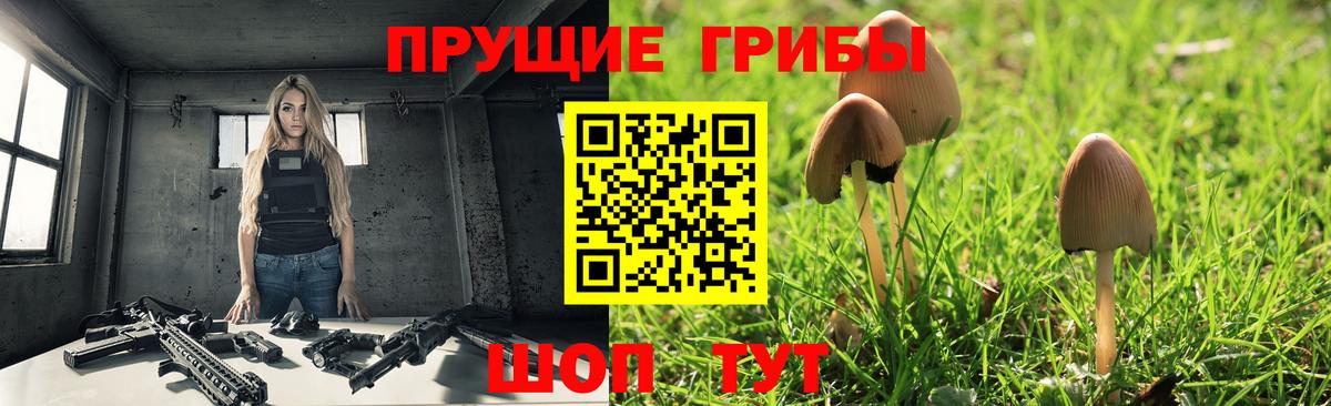 Подольск  продажа наркотиков  Вход с VPN  Галлюциногенные грибы Psilocybine cubensis 